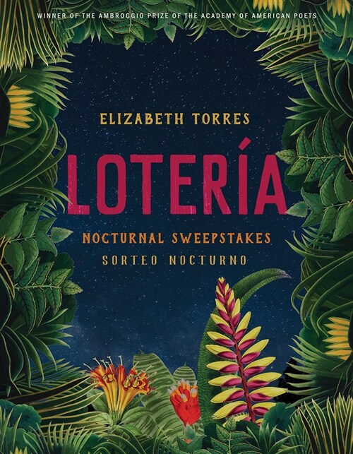 Loter?: Nocturnal Sweepstakes (Paperback)