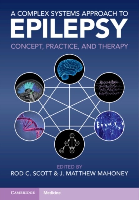 A Complex Systems Approach to Epilepsy : Concept, Practice, and Therapy (Hardcover)