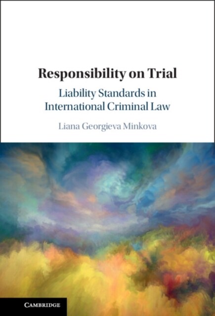 Responsibility on Trial : Liability Standards in International Criminal Law (Hardcover)