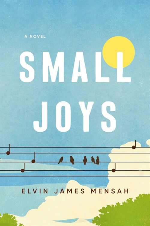 Small Joys (Hardcover)