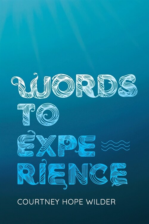 Words to Experience (Paperback)
