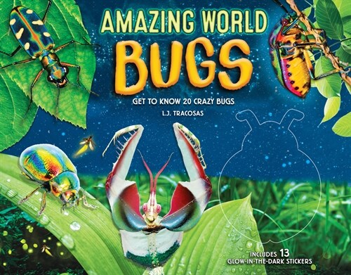 Amazing World: Bugs: Get to Know 20 Crazy Bugs (Hardcover)