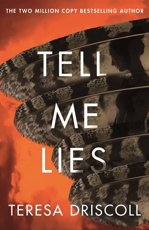 Tell Me Lies (Paperback)