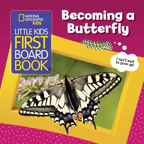 Little Kids First Board Book: Becoming a Butterfly (Board Books)