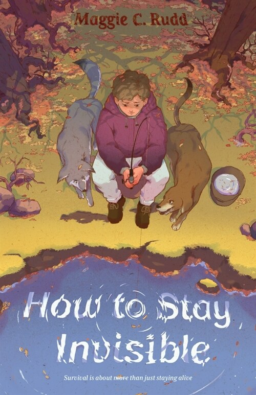 How to Stay Invisible (Hardcover)