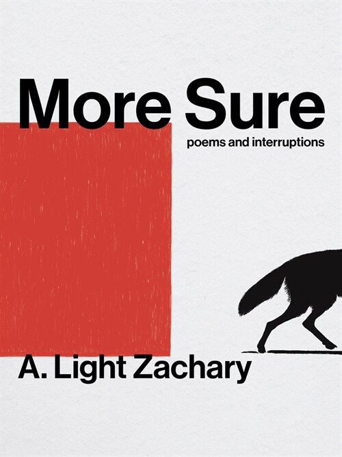 More Sure (Paperback)