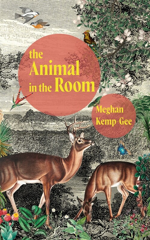 The Animal in the Room (Paperback)