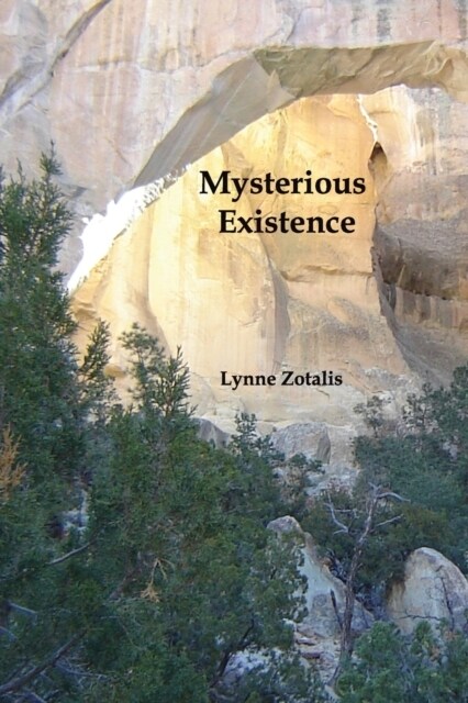 Mysterious Existence (Paperback)