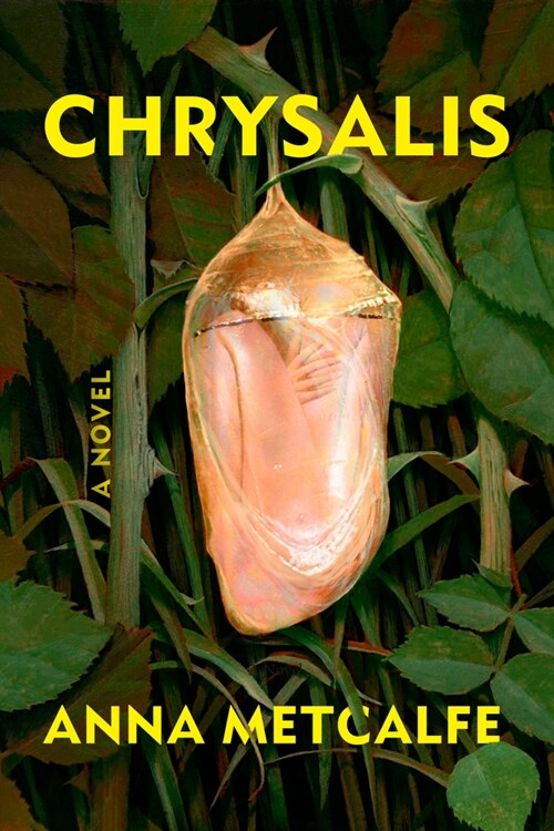 Chrysalis (Hardcover)