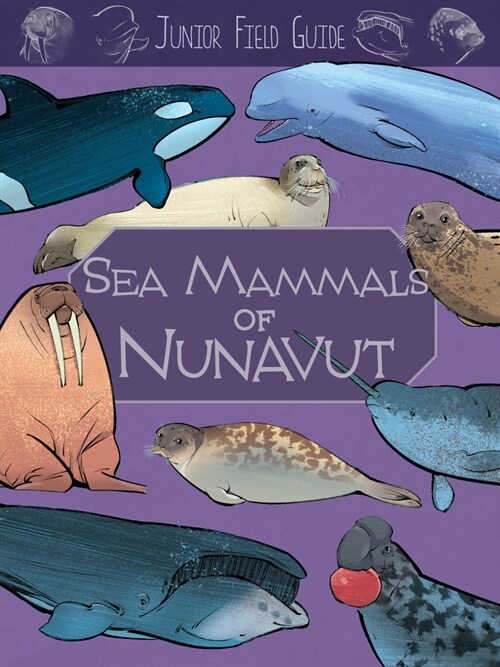 Junior Field Guide: Sea Mammals of Nunavut: English Edition (Paperback, English)