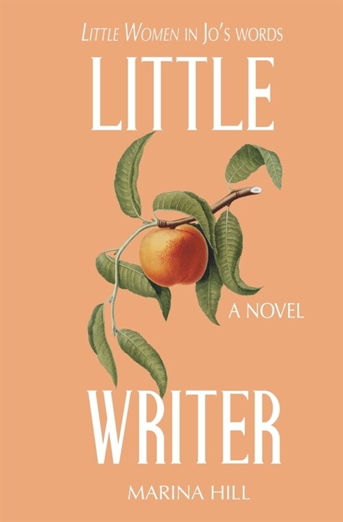 Little Writer (Paperback)