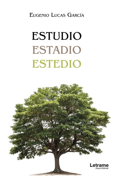 Estudio, estadio, estedio (Paperback)