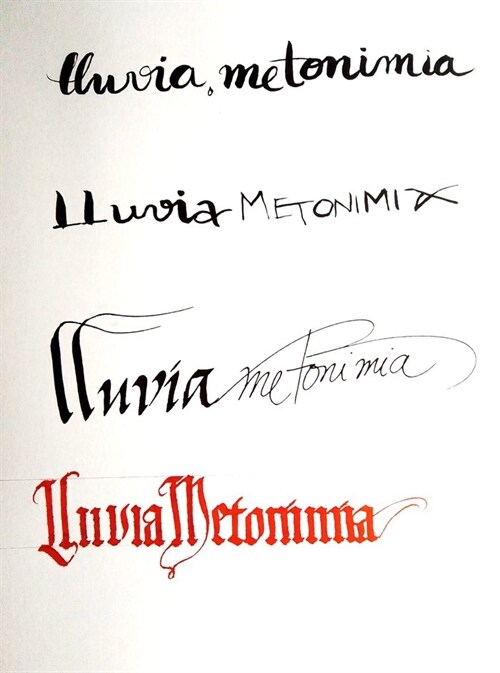 LLUVIA METONIMIA (Paperback)