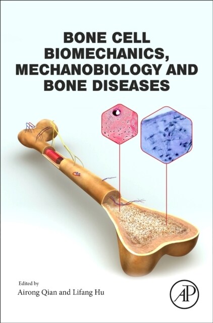 Bone Cell Biomechanics, Mechanobiology and Bone Diseases (Hardcover)