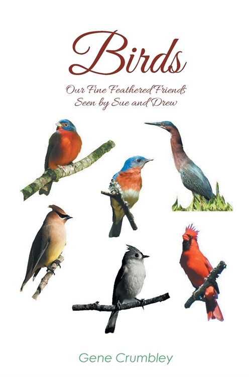 Birds: Our Fine Feathered Friends: Seen by Sue and Drew (Paperback)