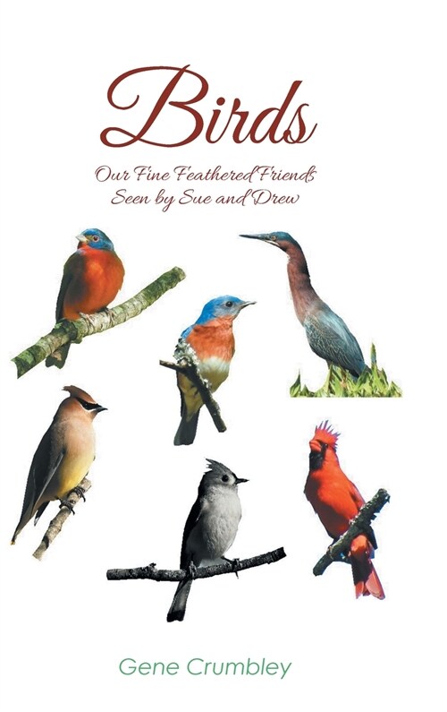 Birds: Our Fine Feathered Friends: Seen by Sue and Drew (Hardcover)