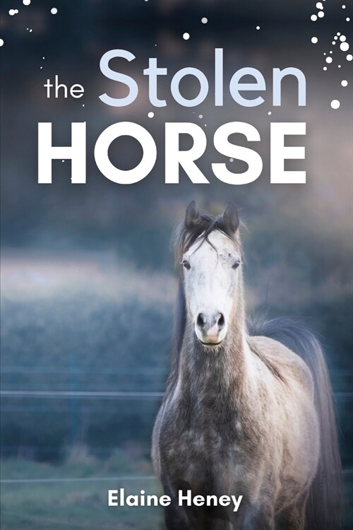 The Stolen Horse - Book 4 in the Connemara Horse Adventure Series for Kids The Perfect Gift for Children age 8-12 (Paperback)