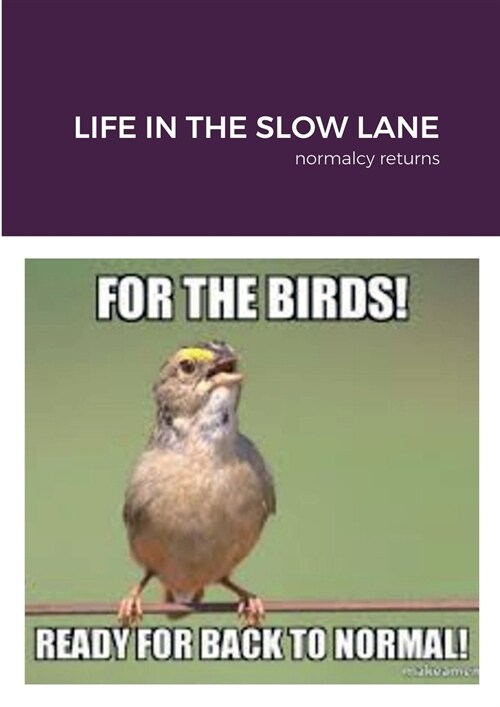 Life in the Slow Lane: normalcy returns (Paperback)
