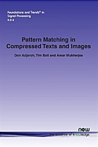 Pattern Matching in Compressed Texts and Images (Paperback)