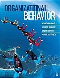 Organizational Behavior (Hardcover)
