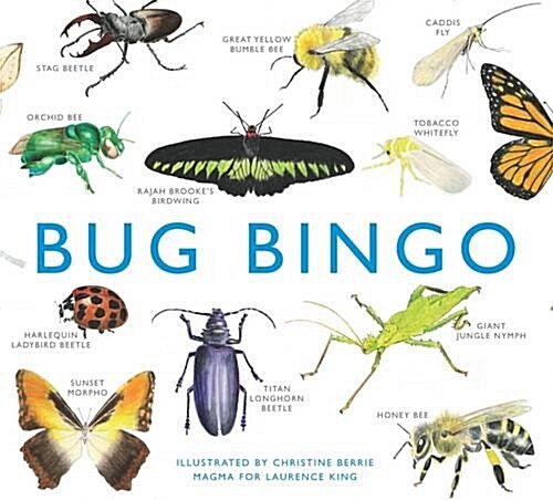 Bug Bingo (Cards)