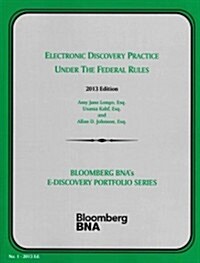 Electronic Discovery Practice Under the Federal Rules (Paperback, Reprint)