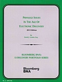 Privilege Issues in the Age of Electronic Discovery (Paperback)