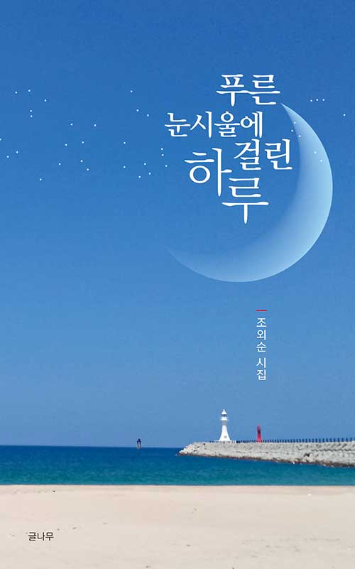 알라딘: 푸른 눈시울에 걸린 하루 푸른 눈시울에 걸린 하루