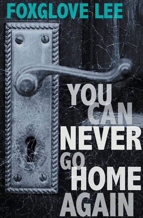 You Can Never Go Home Again (Paperback)