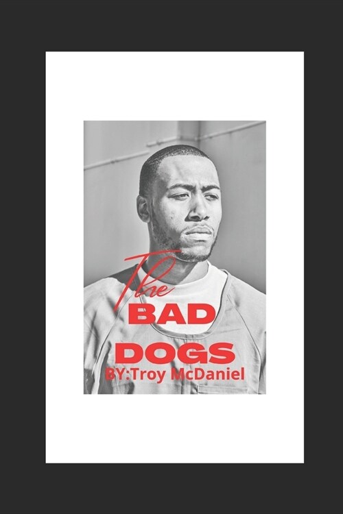 The Bad Dogs: Experience is the best mentor (Paperback)