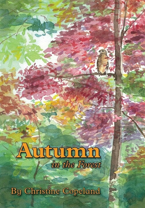 Autumn in the Forest: A Seasons in the Forest Book (Paperback)