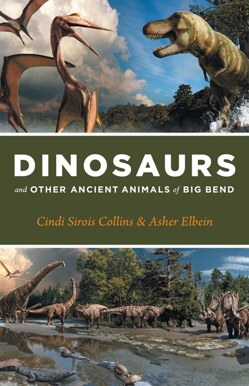 Dinosaurs and Other Ancient Animals of Big Bend (Paperback)