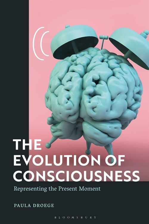 The Evolution of Consciousness : Representing the Present Moment (Paperback)