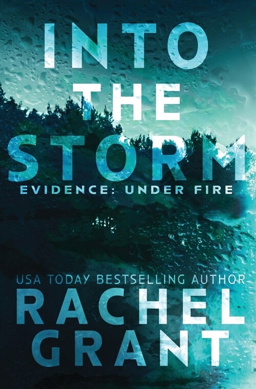 Into the Storm (Paperback)