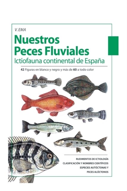 Nuestros Peces Fluviales: (Ictiofauna Continental De Espa?) (Paperback)