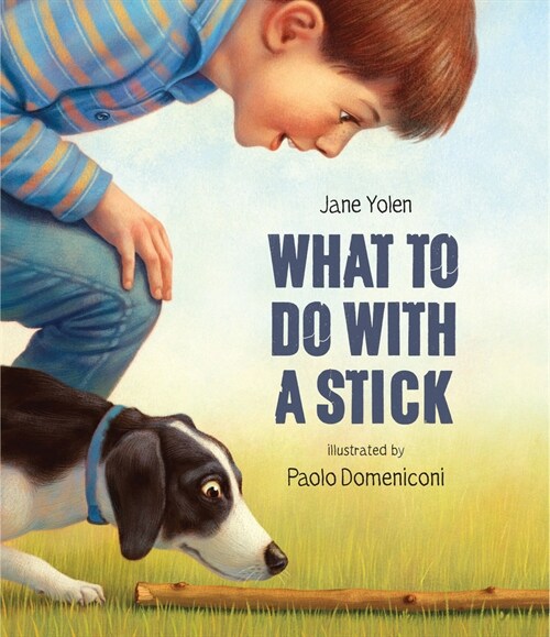 What to Do with a Stick (Hardcover)