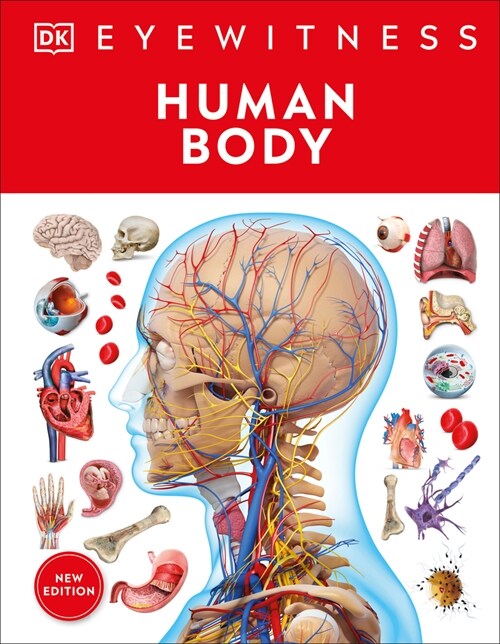 Eyewitness Human Body (Hardcover)
