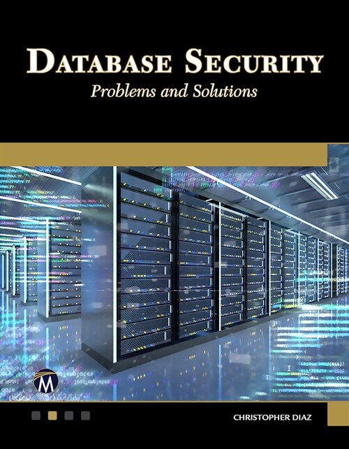 Database Security: Problems and Solutions (Paperback)