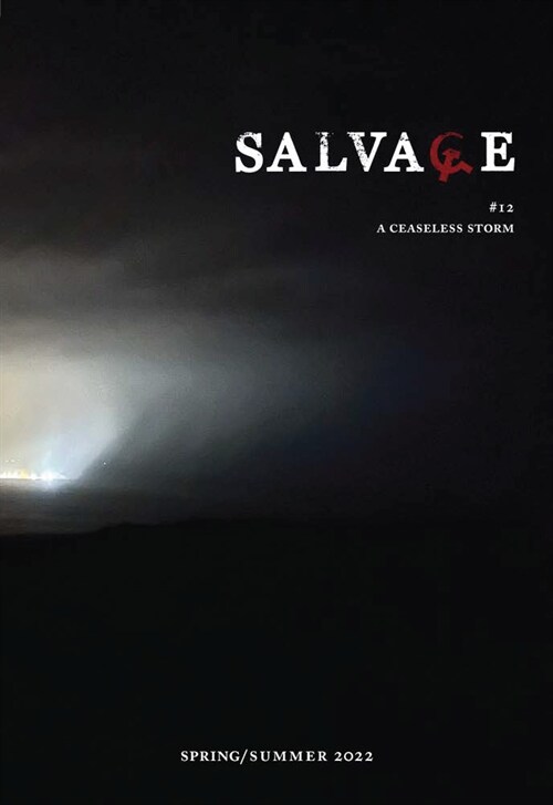 Salvage #12: A Ceaseless Storm (Paperback)