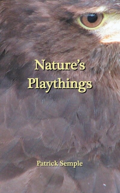 Natures Playthings (Paperback)