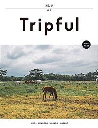 Tripful 트립풀 제주