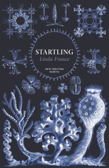 Startling (Paperback, Main - New Writing North)