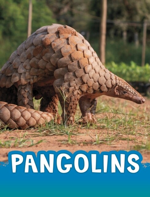 Pangolins (Hardcover)