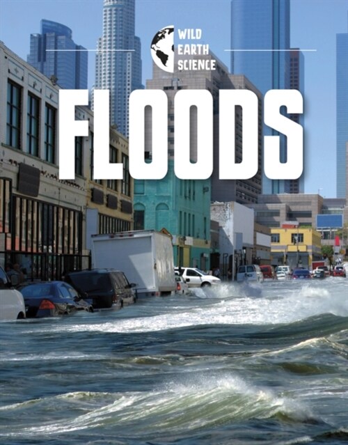 Floods (Hardcover)