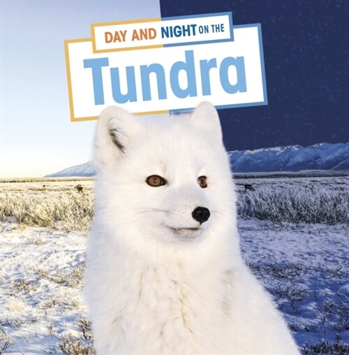 Day and Night on the Tundra (Hardcover)