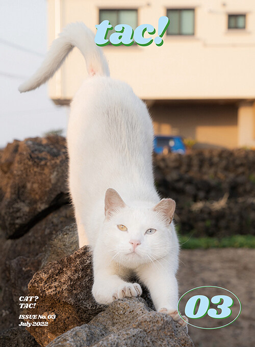 매거진 탁 magazine tac! : 어린이와 고양이