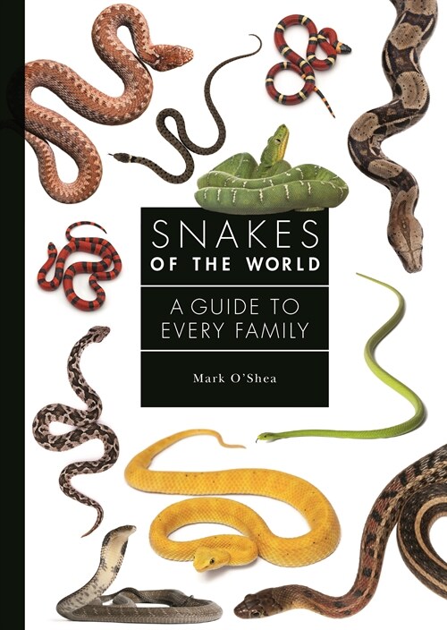 Snakes of the World: A Guide to Every Family (Hardcover)