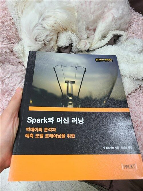 [중고] Spark와 머신 러닝