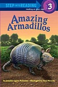 [중고] Amazing Armadillos (Paperback)