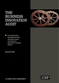 The Business Innovation Audit (Paperback)